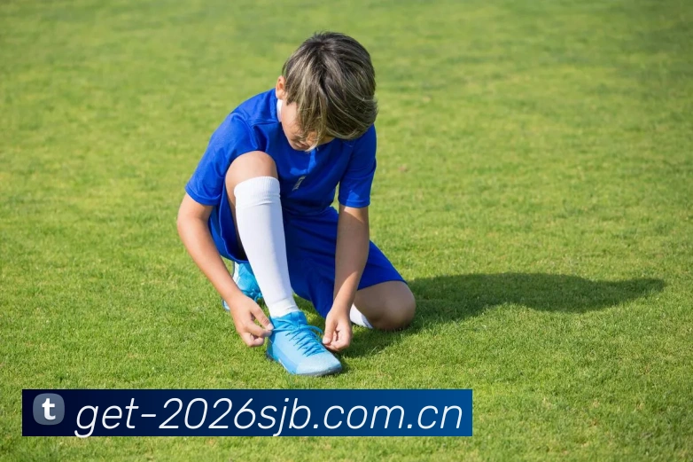 FIFA官方认证